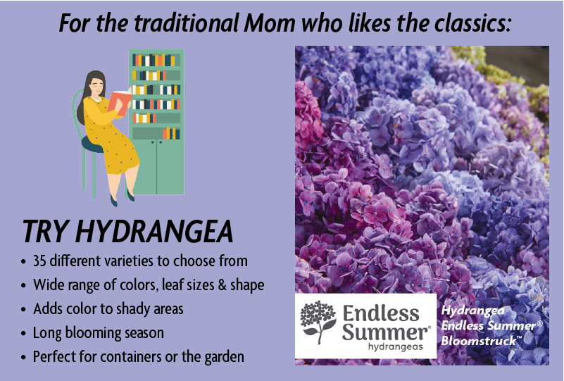 Try Hydrangea