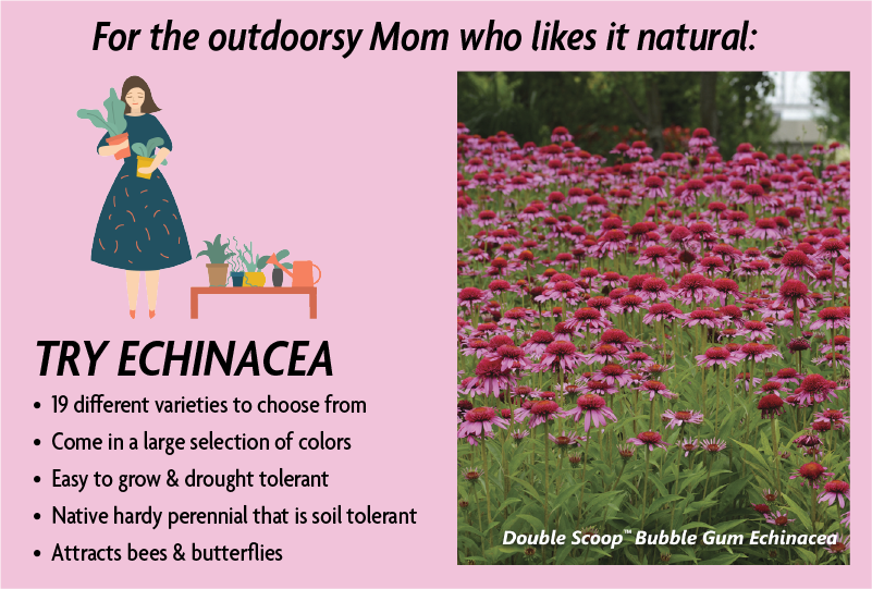 Try Echinaea