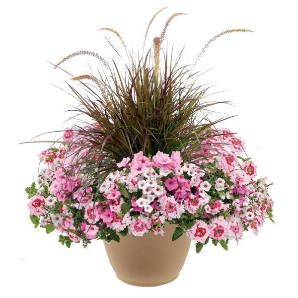 Bubblegum 16" Planter