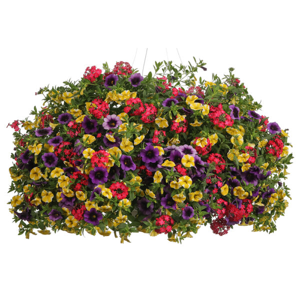 Fruit Salad Hanging Basket