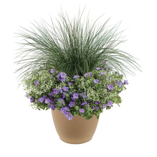 Blue Frost 16" Planter