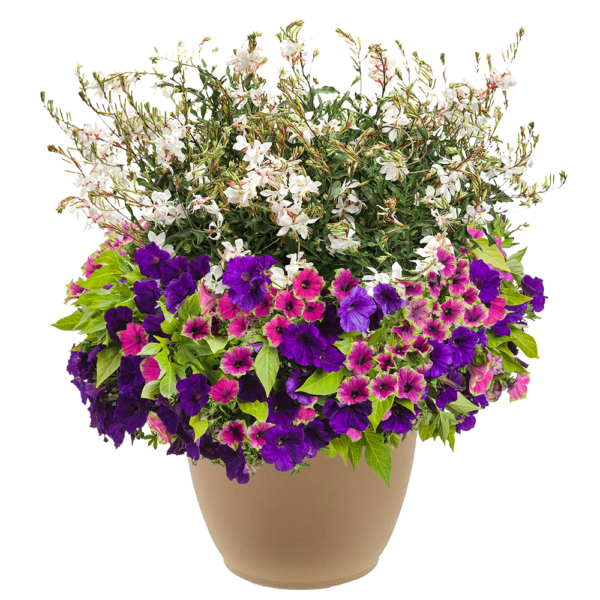 Believe in Fairies 16" Planter