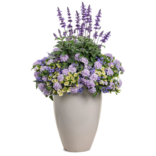Neptune 16" Planter