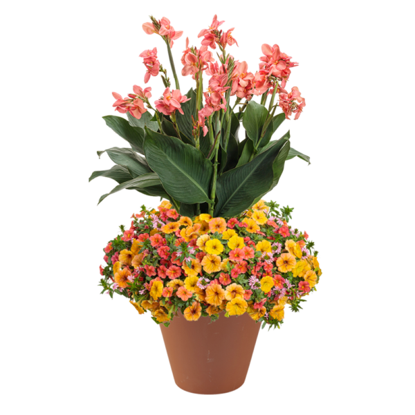 Beachside Drive 16" Planter