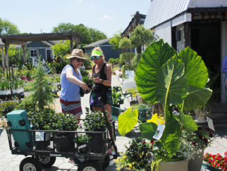 Garden-Center-Page-How-We-Help-You-Section-In-Store-Shopping