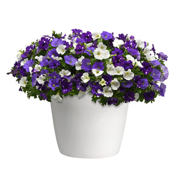Trixi® Sky's the Limit Basket
