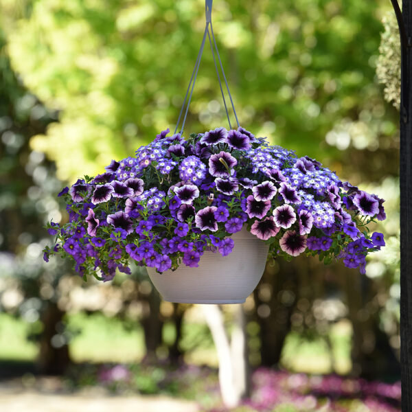 Trixi® Starlight Starbright Basket - Image 2