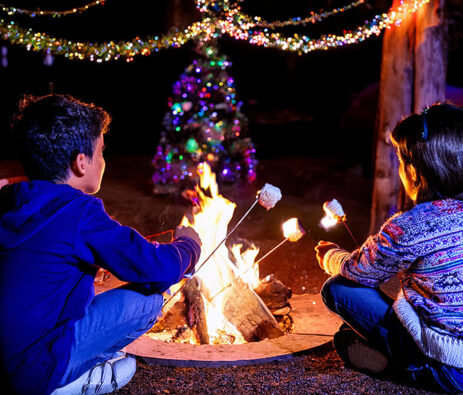 SMores by the fire_web SMores by the fire_web